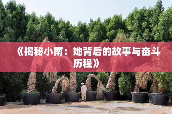 《揭秘小南：她背后的故事与奋斗历程》