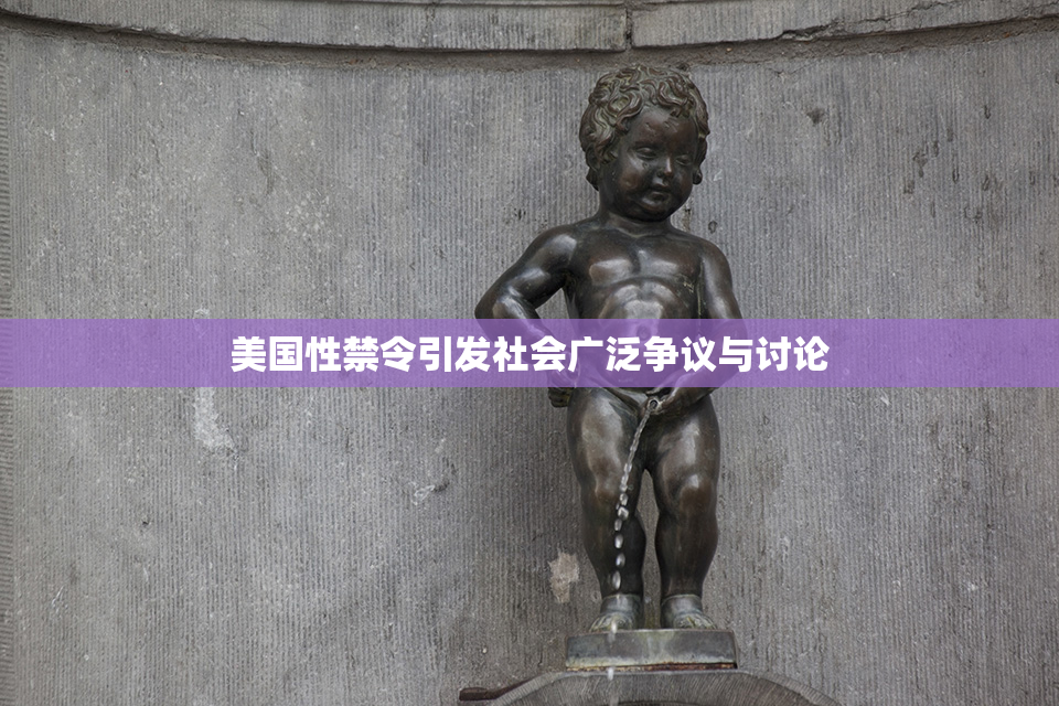 美国性禁令引发社会广泛争议与讨论