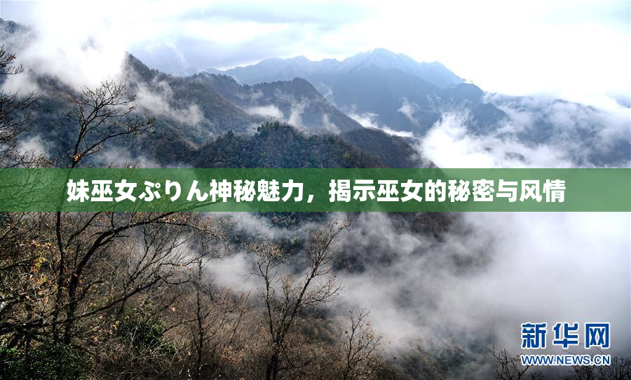 妹巫女ぷりん神秘魅力，揭示巫女的秘密与风情