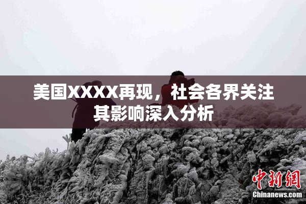 美国XXXX再现，社会各界关注其影响深入分析