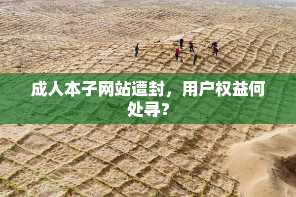 成人本子网站遭封，用户权益何处寻？