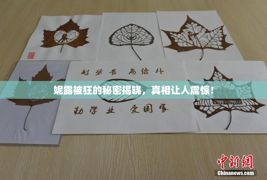 妮露被狂的秘密揭晓，真相让人震惊！