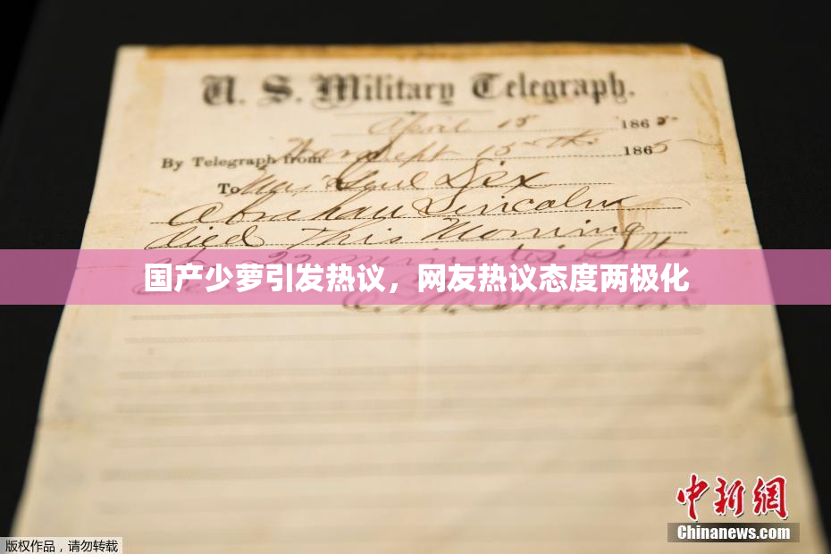 国产少萝引发热议，网友热议态度两极化