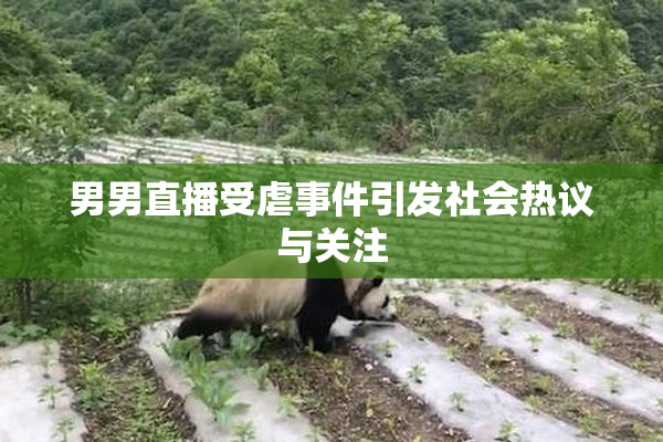男男直播受虐事件引发社会热议与关注