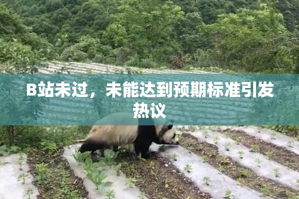B站未过，未能达到预期标准引发热议