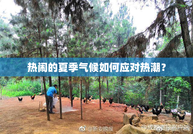 热闹的夏季气候如何应对热潮？