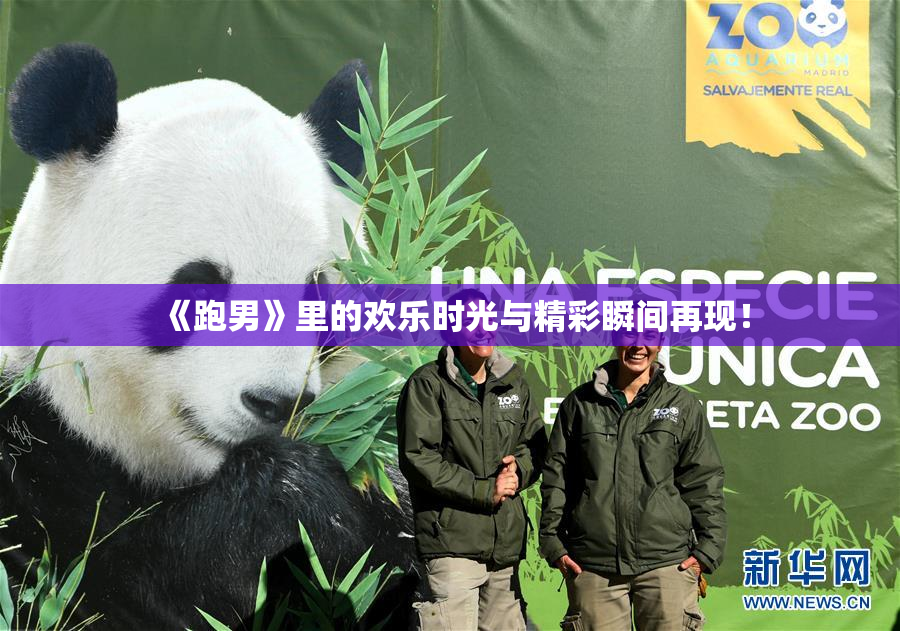 《跑男》里的欢乐时光与精彩瞬间再现！