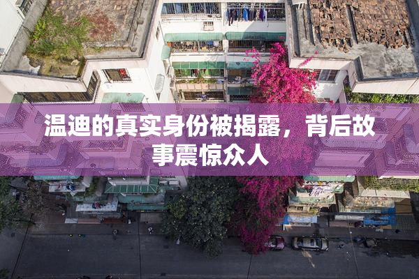 温迪的真实身份被揭露，背后故事震惊众人