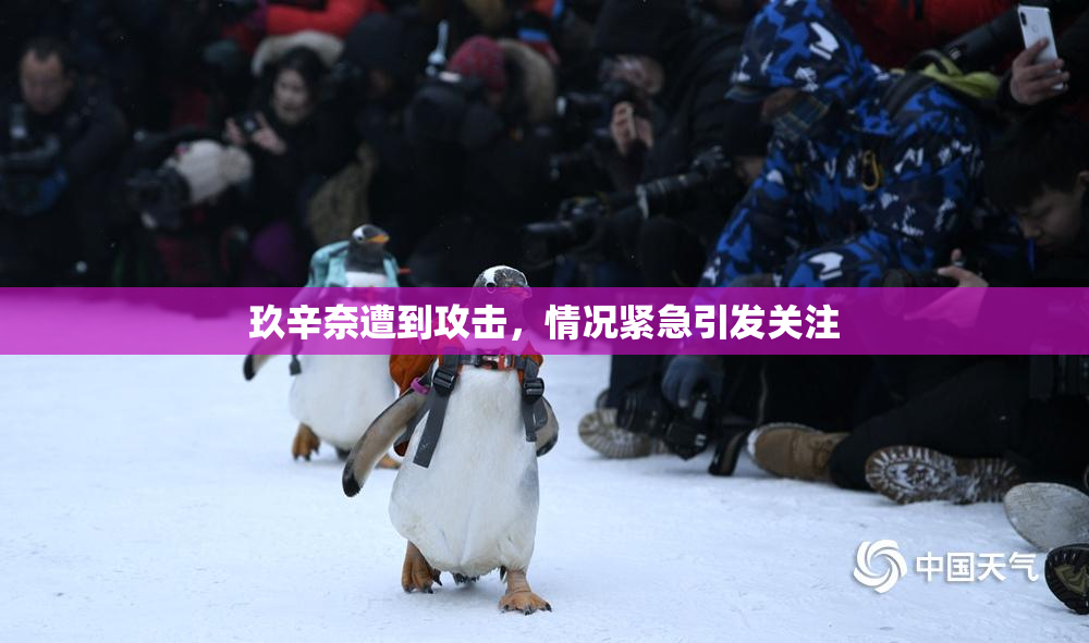 玖辛奈遭到攻击，情况紧急引发关注