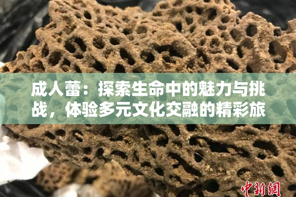 成人蕾：探索生命中的魅力与挑战，体验多元文化交融的精彩旅程