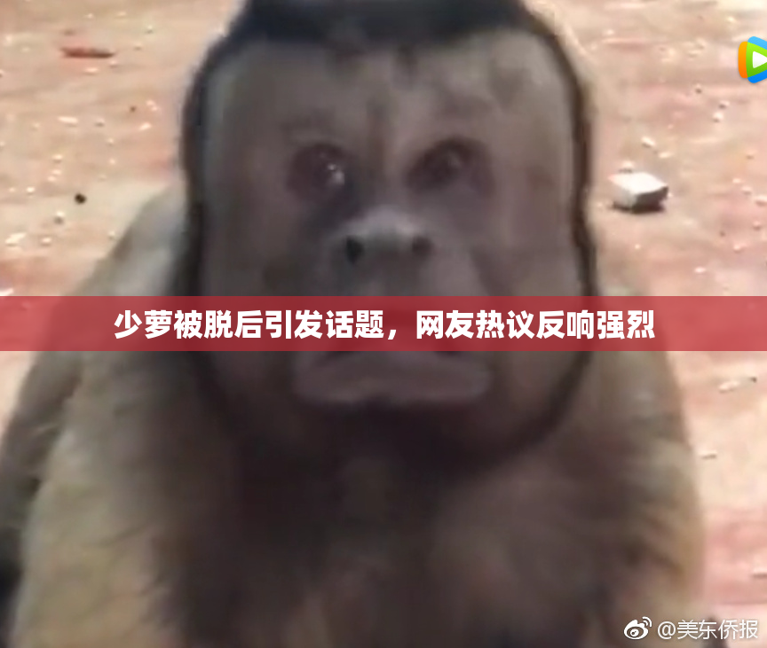少萝被脱后引发话题，网友热议反响强烈