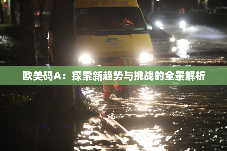 欧美码A：探索新趋势与挑战的全景解析