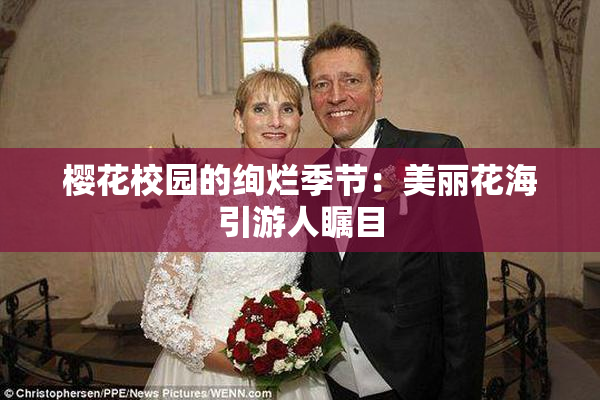 樱花校园的绚烂季节：美丽花海引游人瞩目
