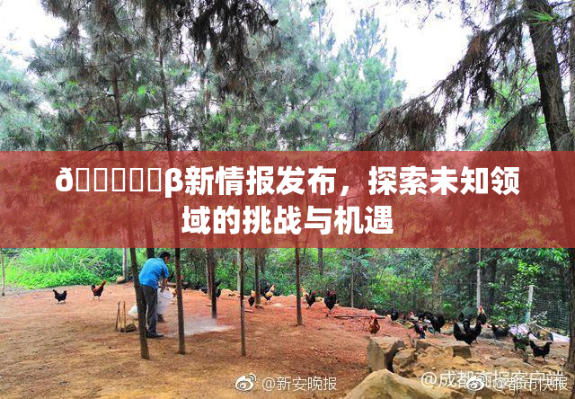 🍆❌‌β新情报发布，探索未知领域的挑战与机遇