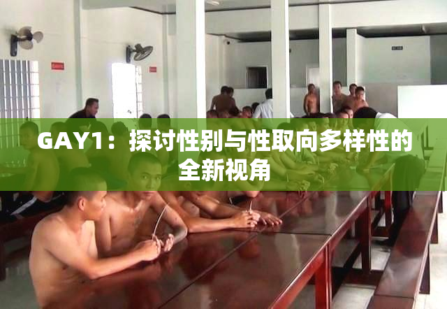 GAY1：探讨性别与性取向多样性的全新视角