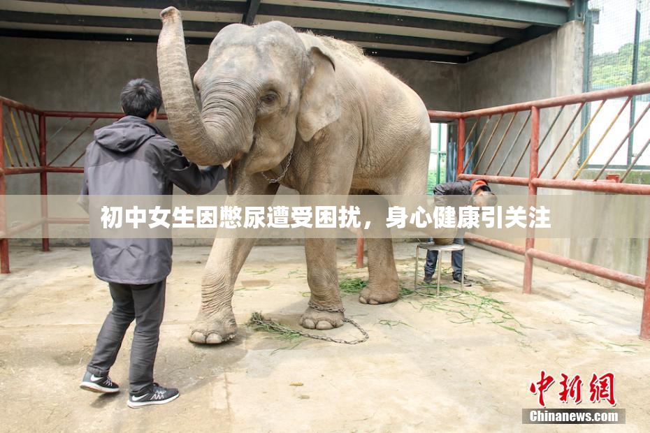 初中女生因憋尿遭受困扰，身心健康引关注