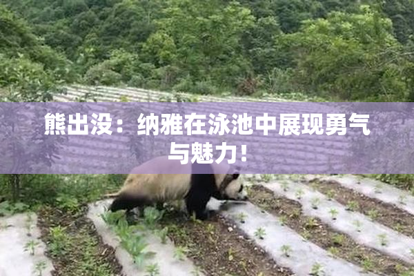 熊出没：纳雅在泳池中展现勇气与魅力！