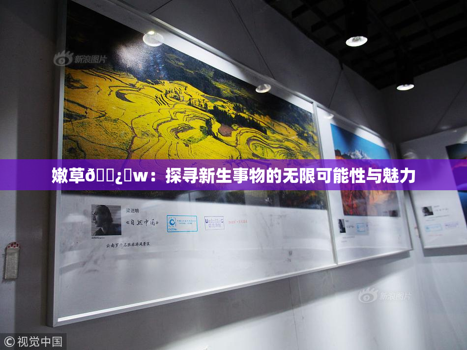 嫩草🌿‌w：探寻新生事物的无限可能性与魅力