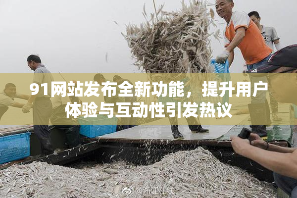 91网站发布全新功能，提升用户体验与互动性引发热议