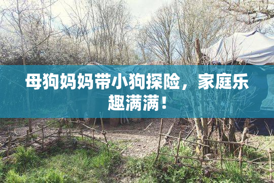 母狗妈妈带小狗探险，家庭乐趣满满！