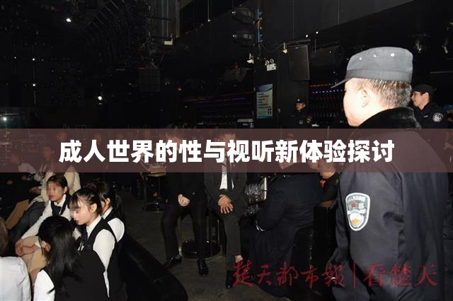 成人世界的性与视听新体验探讨