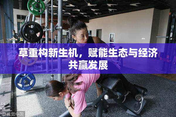 草重构新生机，赋能生态与经济共赢发展