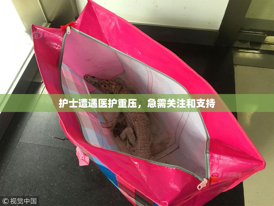 护士遭遇医护重压，急需关注和支持