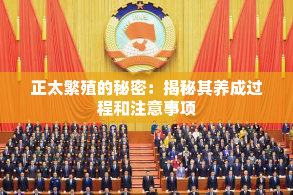 正太繁殖的秘密：揭秘其养成过程和注意事项