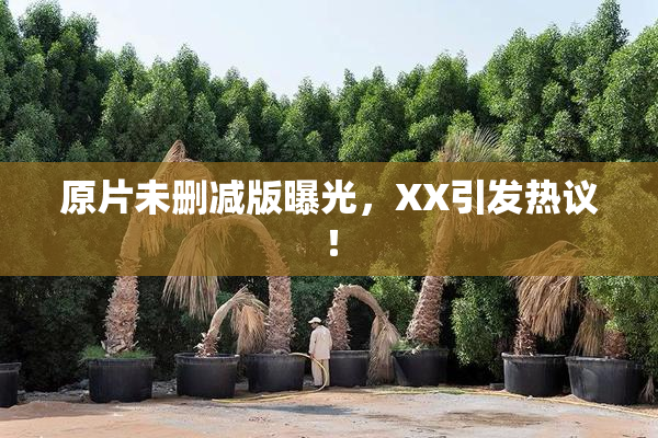 原片未删减版曝光，XX引发热议！