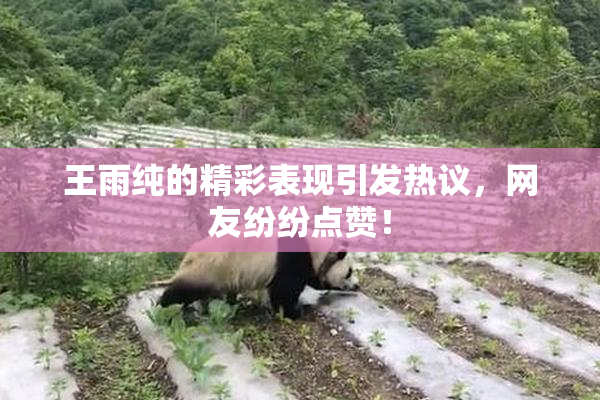 王雨纯的精彩表现引发热议，网友纷纷点赞！