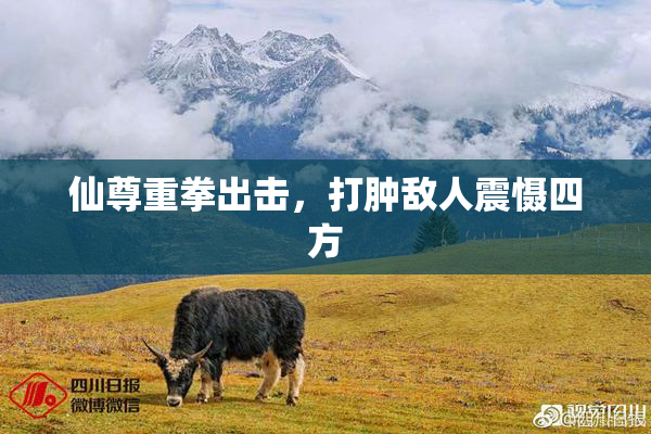 仙尊重拳出击，打肿敌人震慑四方