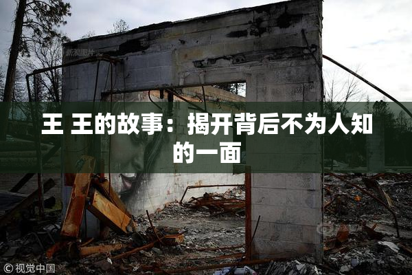 王 王的故事：揭开背后不为人知的一面