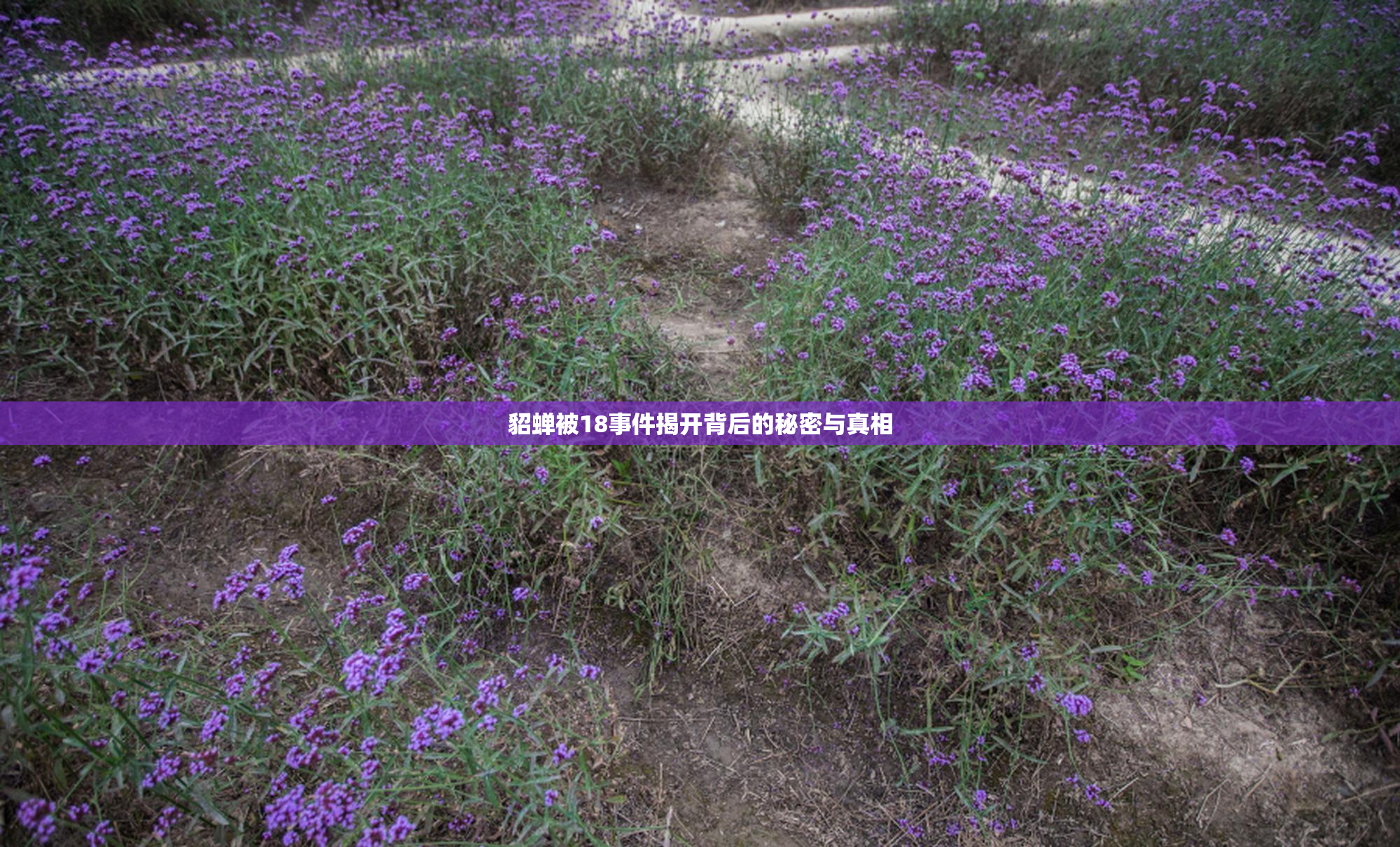 貂蝉被18事件揭开背后的秘密与真相