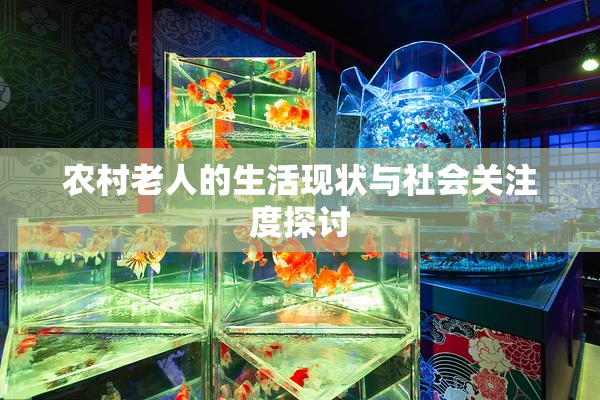 农村老人的生活现状与社会关注度探讨