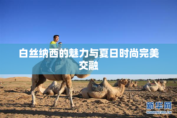 白丝纳西的魅力与夏日时尚完美交融
