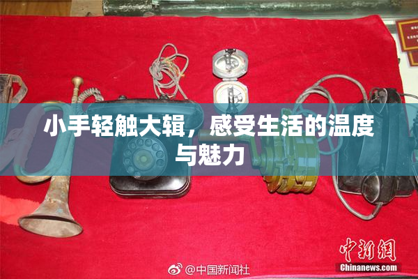 小手轻触大辑，感受生活的温度与魅力