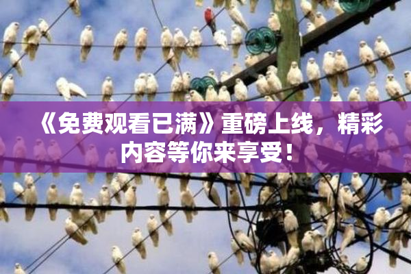 《免费观看已满》重磅上线，精彩内容等你来享受！