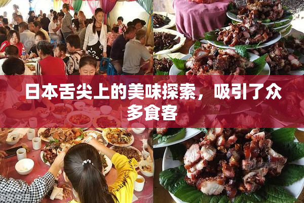 日本舌尖上的美味探索，吸引了众多食客