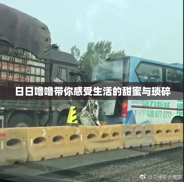 日日噜噜带你感受生活的甜蜜与琐碎