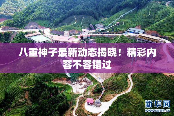 八重神子最新动态揭晓！精彩内容不容错过