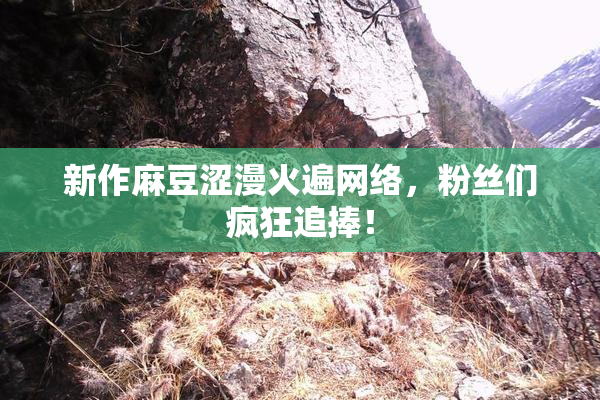 新作麻豆涩漫火遍网络，粉丝们疯狂追捧！