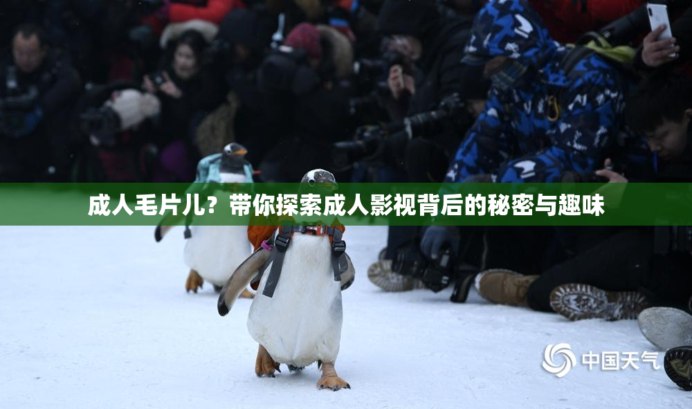 成人毛片儿？带你探索成人影视背后的秘密与趣味