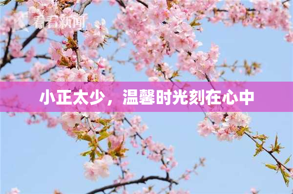 小正太少，温馨时光刻在心中