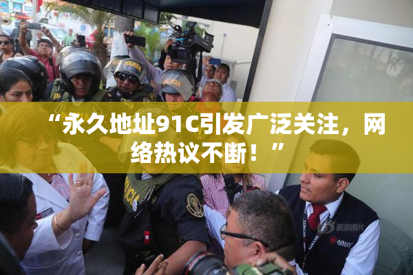 “永久地址91C引发广泛关注，网络热议不断！”