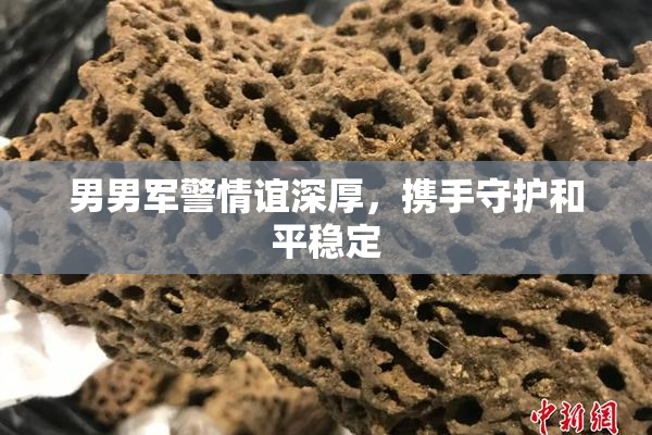 男男军警情谊深厚，携手守护和平稳定