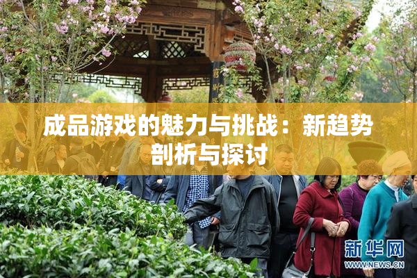 成品游戏的魅力与挑战：新趋势剖析与探讨