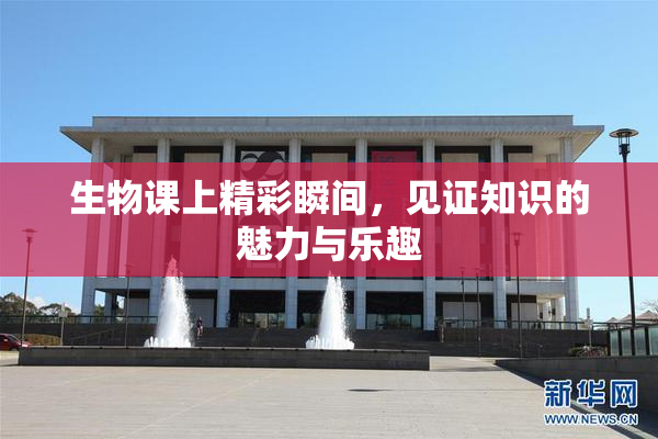 生物课上精彩瞬间，见证知识的魅力与乐趣