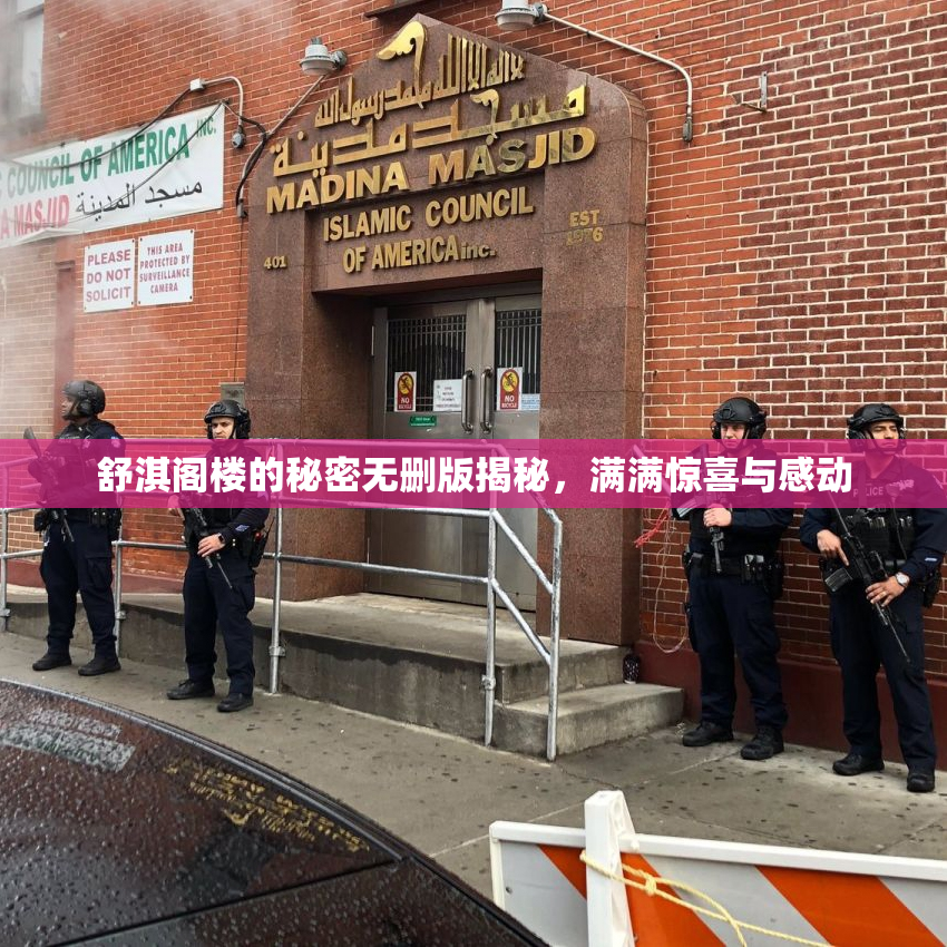 舒淇阁楼的秘密无删版揭秘，满满惊喜与感动