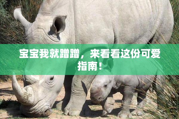 宝宝我就蹭蹭，来看看这份可爱指南！