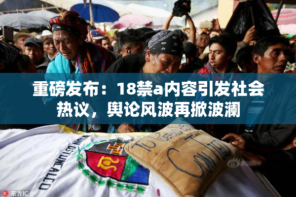 重磅发布：18禁a内容引发社会热议，舆论风波再掀波澜